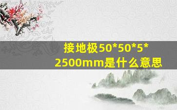 接地极50*50*5*2500mm是什么意思