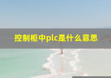 控制柜中plc是什么意思