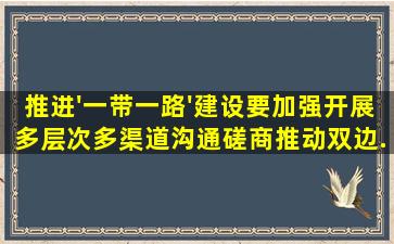 推进'一带一路'建设,要加强(),开展多层次、多渠道沟通磋商,推动双边...