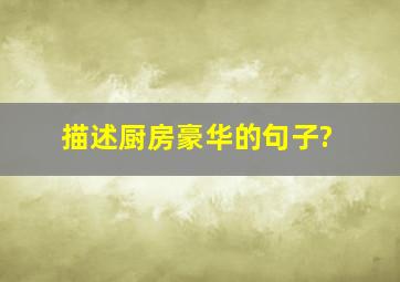 描述厨房豪华的句子?