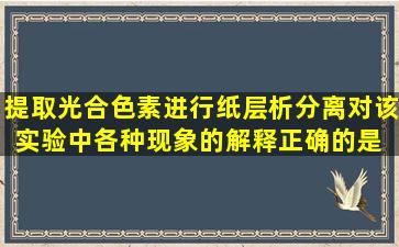 提取光合色素,进行纸层析分离,对该实验中各种现象的解释,正确的是( )