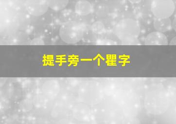 提手旁一个瞿字