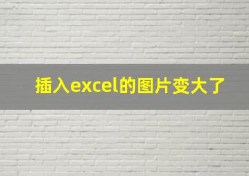 插入excel的图片变大了