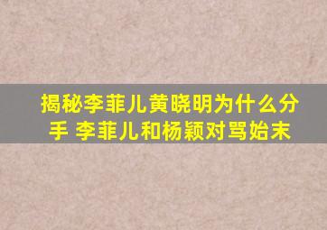 揭秘李菲儿黄晓明为什么分手 李菲儿和杨颖对骂始末