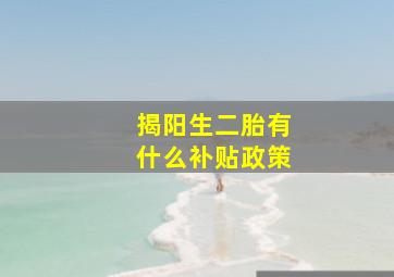 揭阳生二胎有什么补贴政策