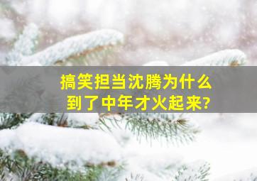 搞笑担当沈腾为什么到了中年才火起来?