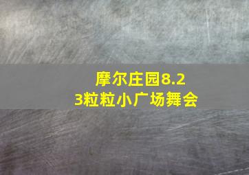 摩尔庄园8.23粒粒小广场舞会