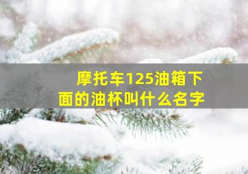 摩托车125油箱下面的油杯叫什么名字