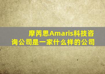 摩芮思Amaris科技咨询公司是一家什么样的公司 