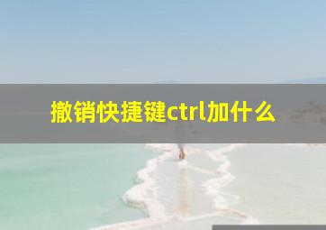 撤销快捷键ctrl加什么