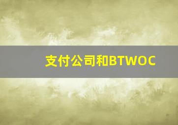 支付公司和BTWOC