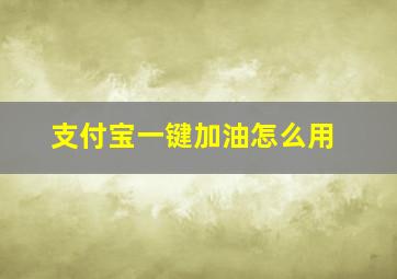 支付宝一键加油怎么用(