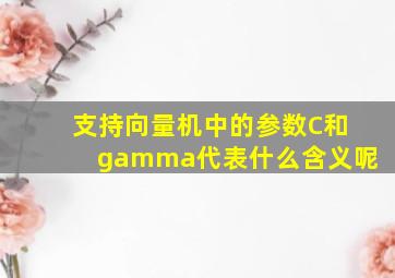 支持向量机中的参数C和gamma代表什么含义呢(