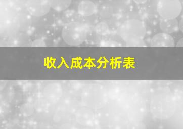 收入成本分析表