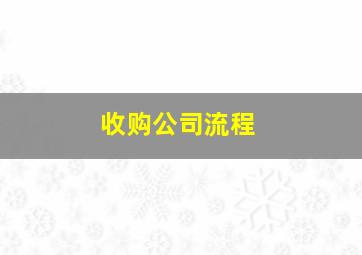 收购公司流程