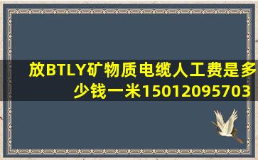 放BTLY矿物质电缆人工费是多少钱一米150、120、95、70、35、25...