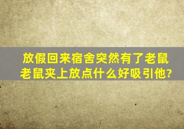 放假回来,宿舍突然有了老鼠,老鼠夹上放点什么好吸引他?