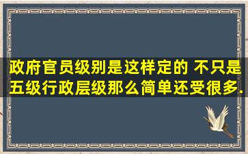 政府官员级别是这样定的 不只是五级行政层级那么简单,还受很多...