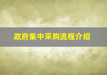 政府集中采购流程介绍