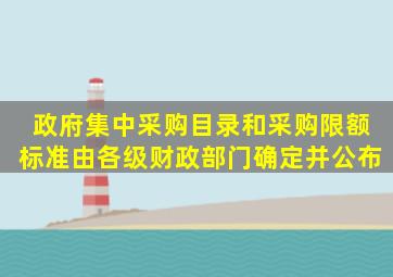 政府集中采购目录和采购限额标准由各级财政部门确定并公布