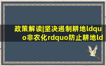 政策解读|坚决遏制耕地“非农化”防止耕地“非粮化”种植