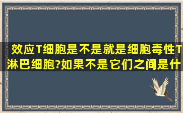 效应T细胞是不是就是细胞毒性T淋巴细胞?如果不是它们之间是什么...