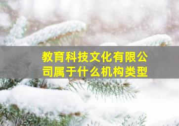 教育科技文化有限公司属于什么机构类型