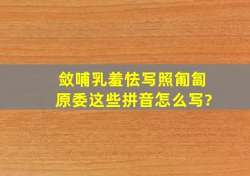 敛哺乳羞怯写照匍匐原委这些拼音怎么写?