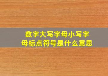 数字,大写字母,小写字母,标点符号是什么意思