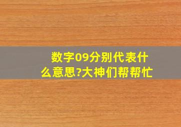 数字09分别代表什么意思?大神们帮帮忙