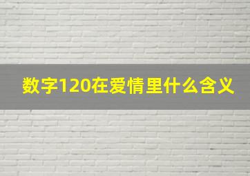 数字120在爱情里什么含义