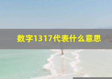 数字1317代表什么意思