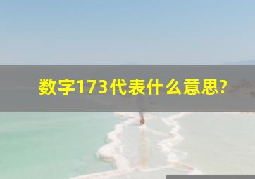 数字173代表什么意思?