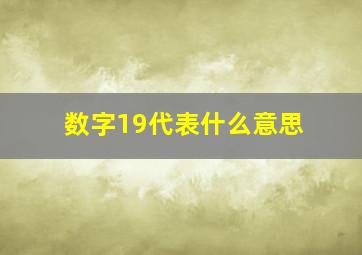 数字19代表什么意思