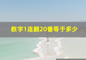 数字1连翻20番等于多少