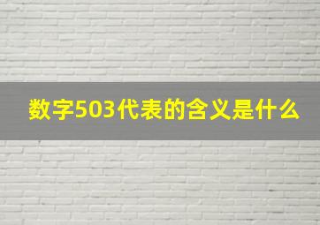 数字503代表的含义是什么