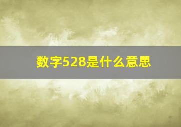 数字528是什么意思(