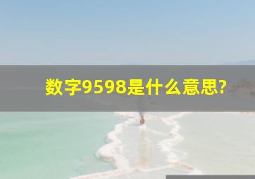 数字95、98是什么意思?