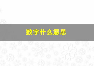 数字什么意思