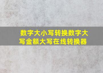 数字大小写转换  数字大写金额大写在线转换器 