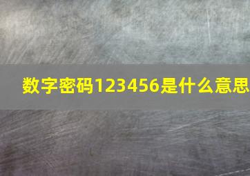 数字密码123456是什么意思