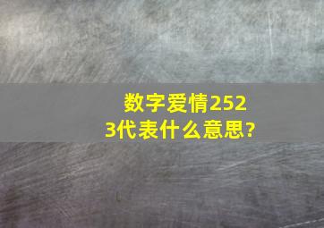 数字爱情2523代表什么意思?