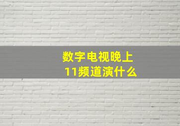 数字电视晚上11频道演什么