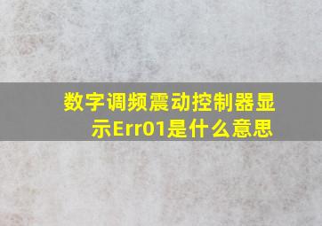 数字调频震动控制器显示Err01是什么意思