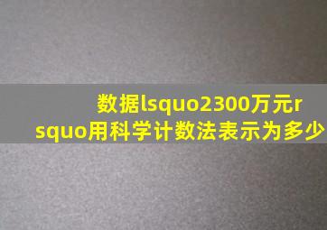 数据‘2300万元’用科学计数法表示为多少