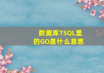 数据库TSQL里的GO是什么意思