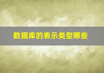 数据库的表示类型哪些