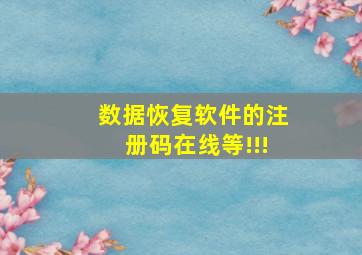 数据恢复软件的注册码,在线等!!!