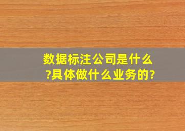 数据标注公司是什么?具体做什么业务的?