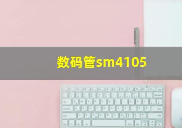 数码管sm4105